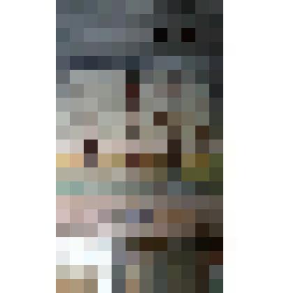 Могила Толстого в Ясной Поляне