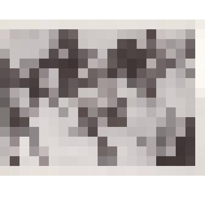 Фотография «С.М. Киров на школьном празднике в Парке культуры и отдыха». Ленинград