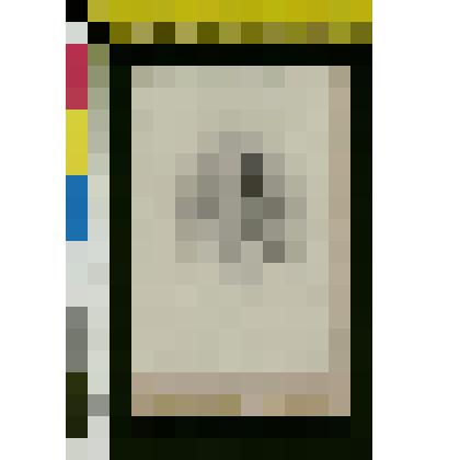 Фотография: Портрет И.И. Толстого (1897-1970)