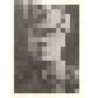 Фотопортрет Евсеева Николая Федоровича, в будёновке