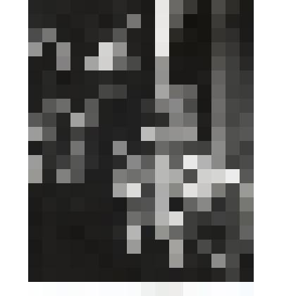 Фотография. Репетиция спектакля театра кукол "Хрустальный башмачок"