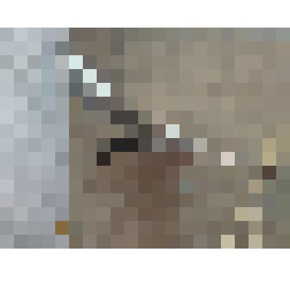 Чучело "Кулик - сорока"