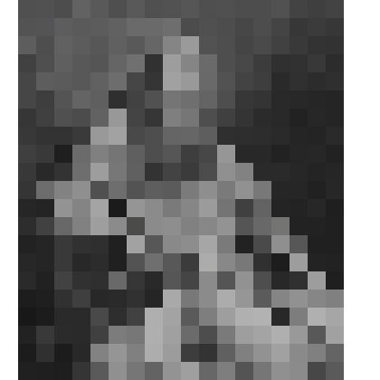 Портрет кардинала Поля