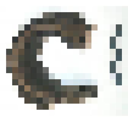 Задник. Коллекция из раскопок городища Мангазея 2009 г