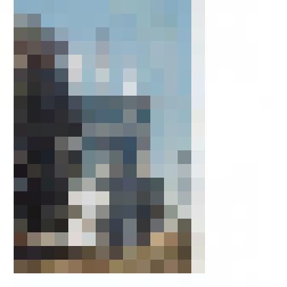 Фотография. Вид на церковь Покрова в селе Панино