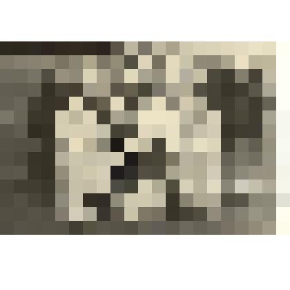 Фотография: сводный хор совхоза "Октябрь" Каменского района Алтайского края на районном смотре художественной самодеятельности в Доме культуры г.Камень-на-Оби