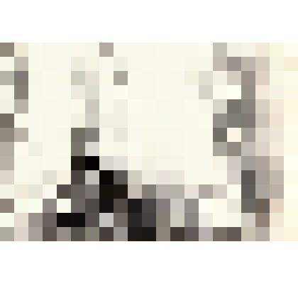 Фотография сюжетная. Почетный караул у памятника на братской могиле в г. Калач Воронежской области, в которой похоронен Карпов Тимофей Феоктистович. Погиб 02.02.1943 г