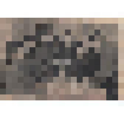 Ф/чб. Жамалов Н.Ж. (3-й слева) с однополчанами в рабочем кабинете. Бреславль. 1945