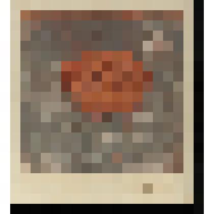 Портрет старика