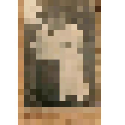 Фотография черно- белая двух девушек в светлой одежде. г. Середа