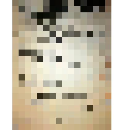 "Да здравствуют народные ополченцы!"