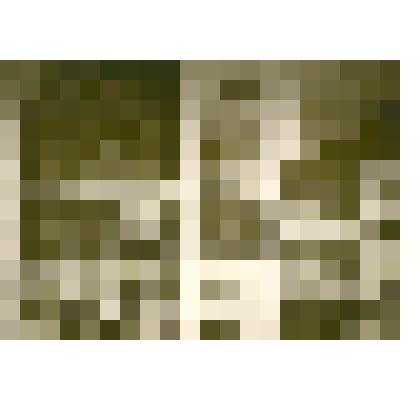 Фотография: передвижная выставка картин из собрания Каменского краеведческого музея в Доме культуры г.Камень-на-Оби Алтайского края