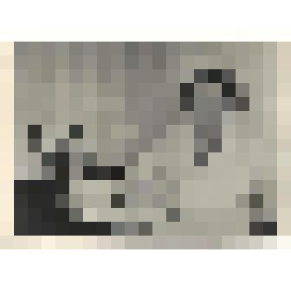 Фотографии. Фото ч/б врач 3-го Терапевтического отделения Хакасской областной больницы Демидович Л.П. (сидит за письменным столом, на нем бумаги,телефон и цветы) 80-ые годы XX века