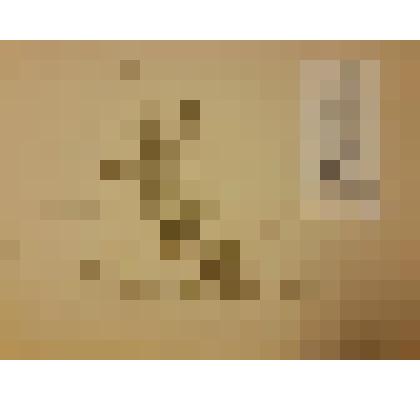 Гербарий. Звездчатка злаковидная. Из гербария "Флора Ингрика"