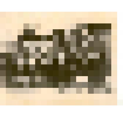 Фотография: колонна агрошколы на демонстрации 7 ноября 1952 года в г.Камень-на-Оби Алтайского края