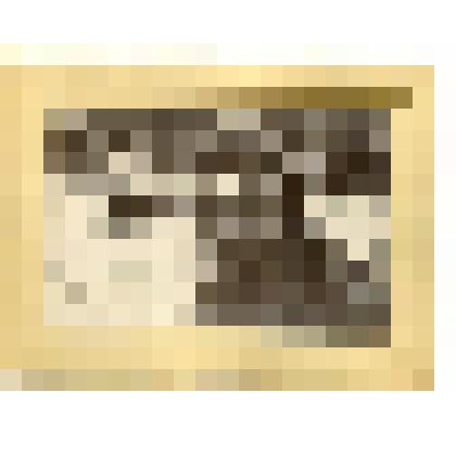 Фотография. Горбатовский уезд, с. Богородское. Кожевенное производство. Дубление кож