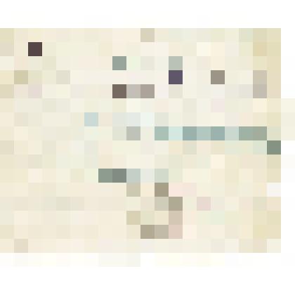 Мандат № 4594 Н.К. Обухова, председателя Ермаковского райисполкома, обязывает оказывать всем сельсоветам содействие в подаче одноконной станковой подводы