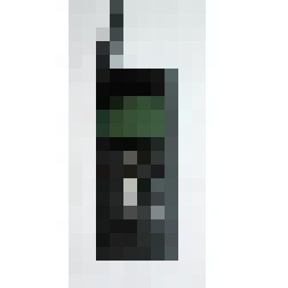 Телефон мобильный Benefon TDP70WN