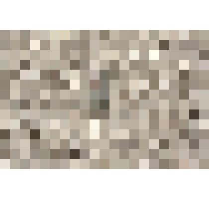 Значок серый: 1 гвоздика и 1870-1970