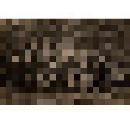 Групповая фотография работников Батищевской опытной сельскохозяйственной станции. 1928 год