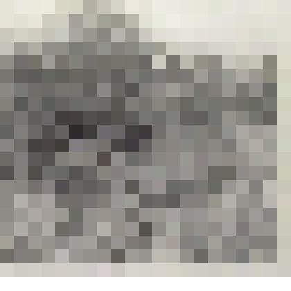 Последние заморозки