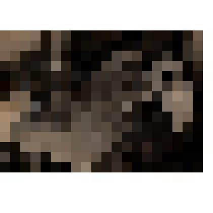 Черно-белая фотография работы на Батищевской опытной станции. 30 годы 20 века