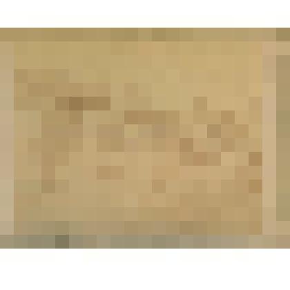 Фотография: здание библиотеки им. И.С. Никитина в Воронеже. Фотография Б. Принца в г. Воронеже; 80-90 гг. XIX в