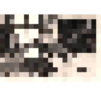 Барыльник Алексей Васильевич на рабочем месте, дизелист электростанции с 1969-1995г
Ветеран труда России, ударник коммунистического труда, депутат С/с села Гижига