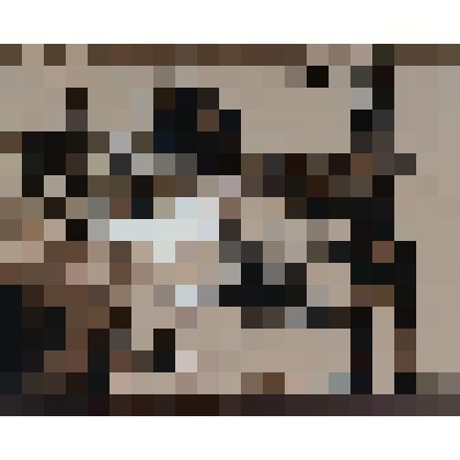 Солдаты стреляют из-за камней