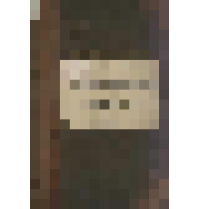 Документ. Общие правила порядка перевода денег по почте и по телеграфу во Франции: сбор за перевод, таксировка перевода по телеграфу, срок действия перевода денег, отчетность, статистика, ревизии, формы бланков и книг