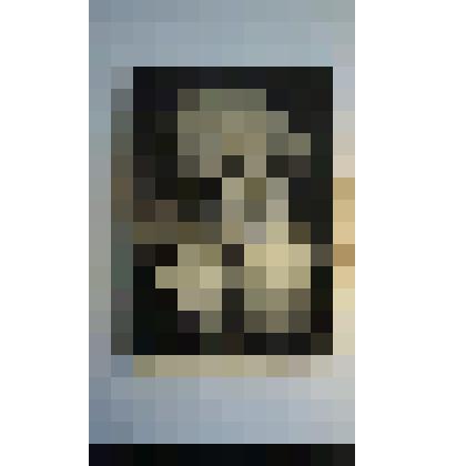 Портрет Л. Н. Толстого черно-белый на шелковой ткани