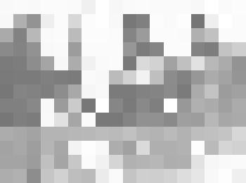 Фотография Всесоюзный поход по местам битв за Советскую власть. Председатель Александровского сельского Совета вречает хлеб-соль Стасюку А. и Санникову Ф