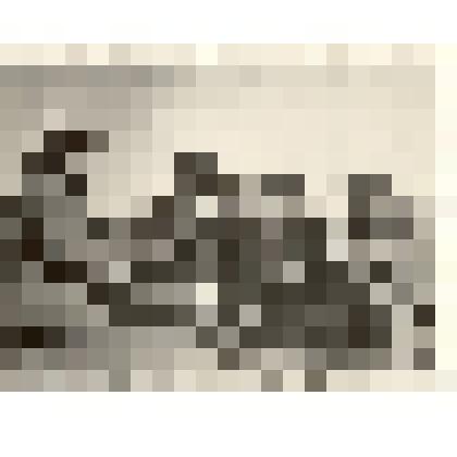 Фотография: механизаторы Кировского отделения совхоза "Октябрь" Каменского района Алтайского края начали закрытие влаги на полях