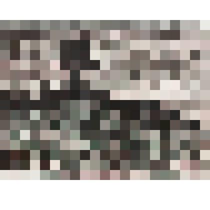 Литография «Мельница в деревне Щелково»