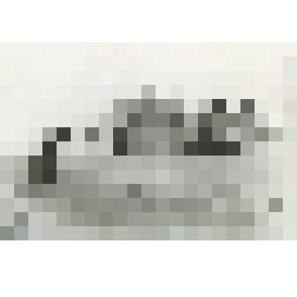 Фотография- На зерновом току Крапивинского хлебоприемного предприятия