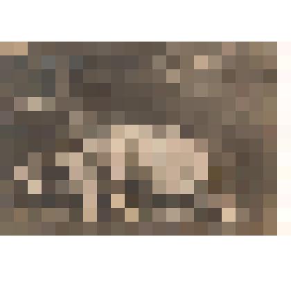 Карточка почтовая. Два друга