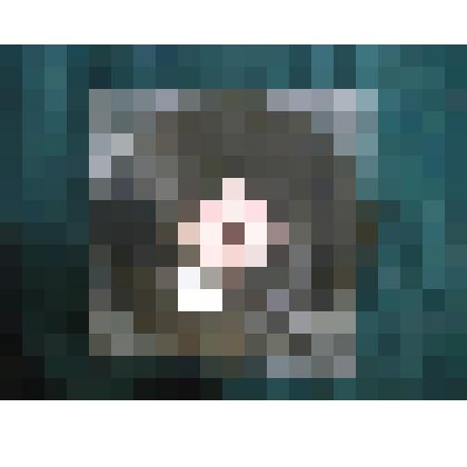 Грампластинка. Поют сестры Пинац. На японском языке