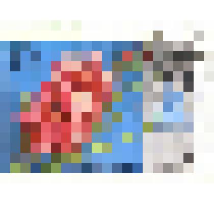 Марка почтовая. Почта СССР, 1978 год, 10 коп. Серия "Цветы Москвы". Гладиолус ''Москвичка''