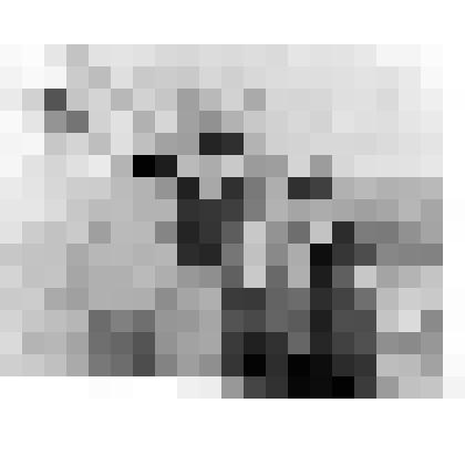 Фотография групповая (4 человека) черно-белая