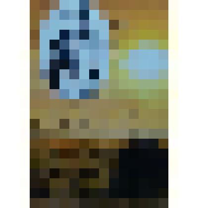 Открытка с изображением поэта А. Бахтинова на фоне заката солнца