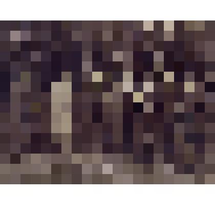 Фотография групповая. Члены Совета рабочих депутатов в Глухове. 1917 год