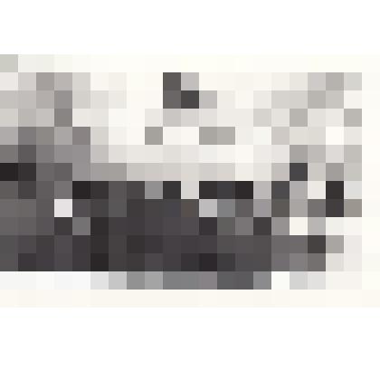 Фотография черно-белая групповая с изображением участников Гражданской войны у памятника К.А.Трунову