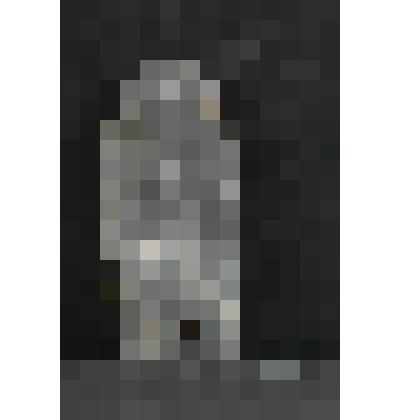 Черепица городчатая, чернолощеная