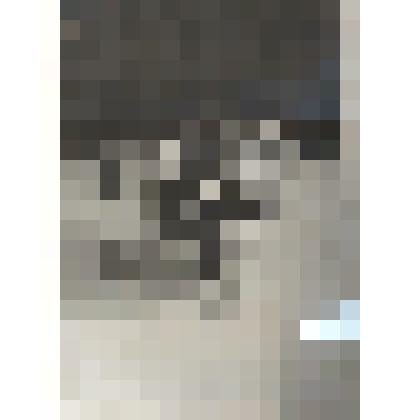 Фотокопия серебряной солонки Д.В. Давыдова