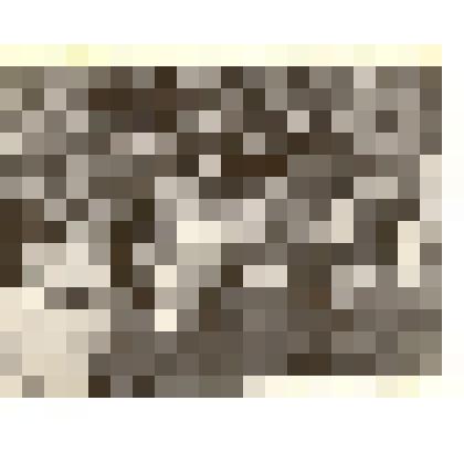 Фотография: коллектив Каменской гидрометеостанции