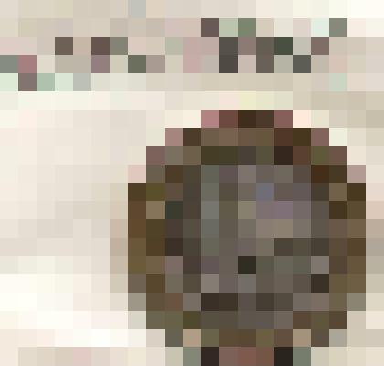 Монета памятная. Новосибирская область. Россия