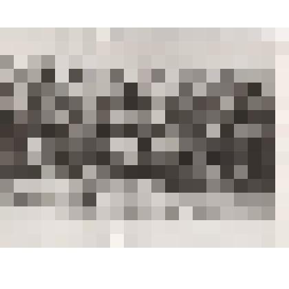 Фотография. Двойнишников Николай Григорьевич