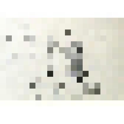 Пень. Московский зоопарк