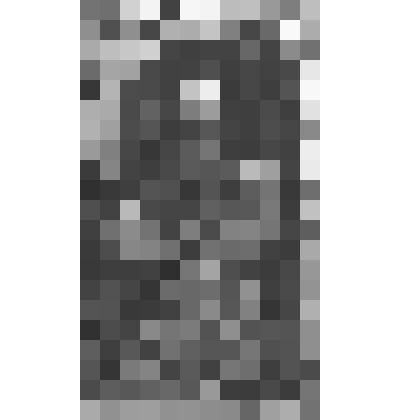 Портрет Вильгельма III, [короля Англии и Шотландии]