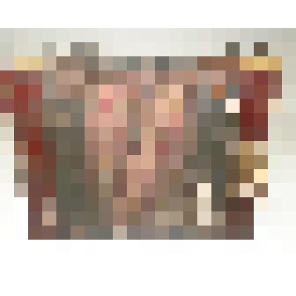 Гармошка "Венка"